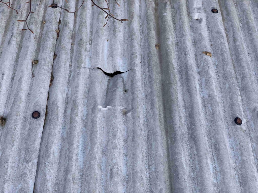 Roof Holes